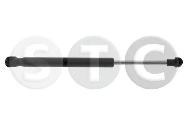 Gas Spring, boot/cargo area (T446580)