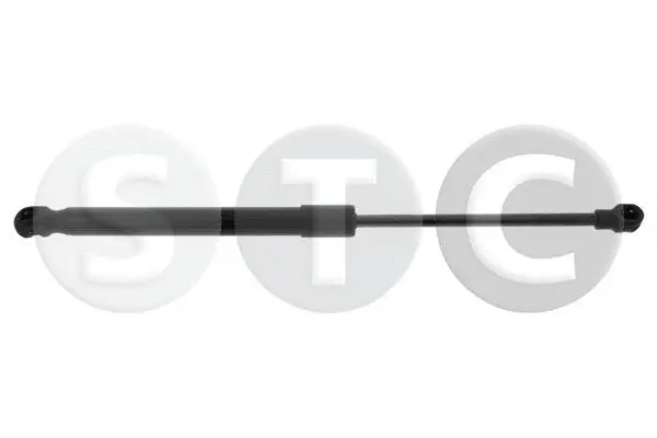 Gas Spring, bonnet (T446861)