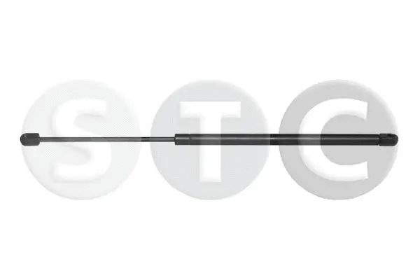 Gas Spring, boot/cargo area (T446616)