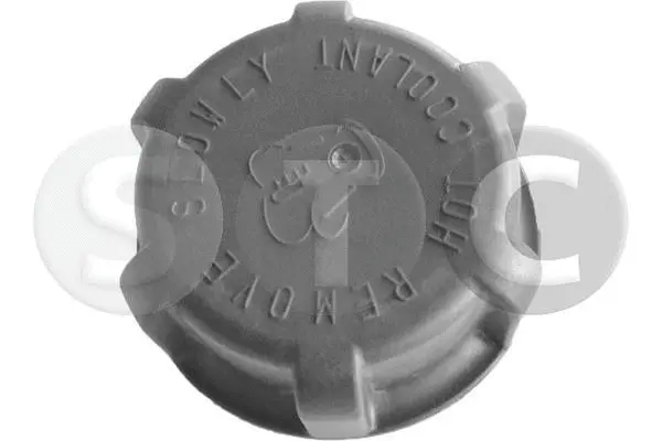 Cap, coolant tank (T4500225)