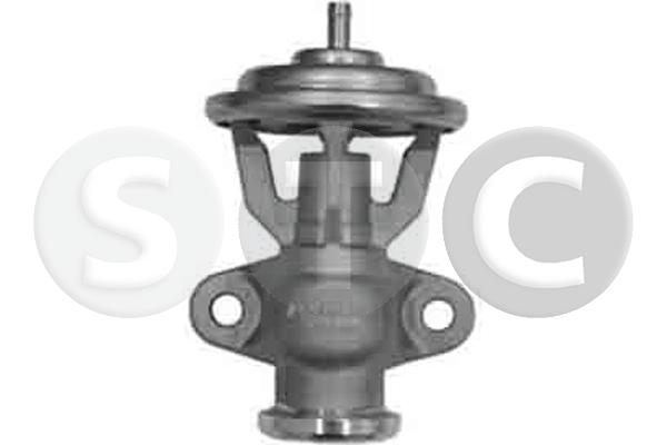 EGR Valve (T493168)