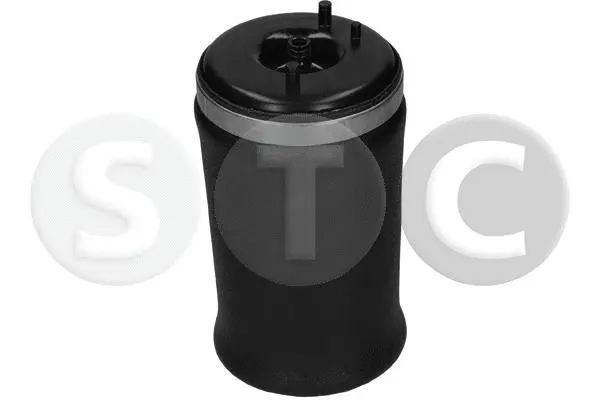 Air Spring, suspension