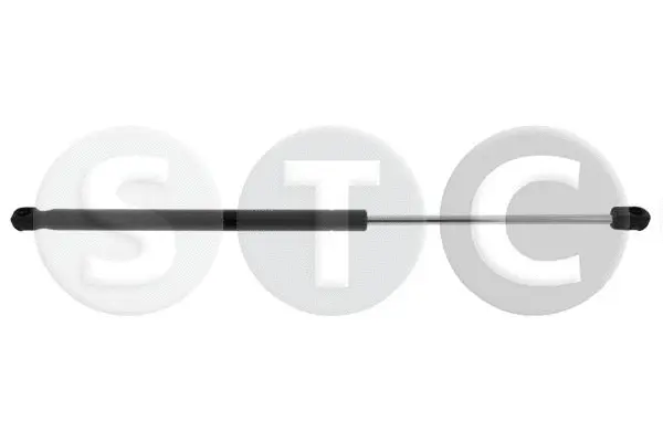 Gas Spring, boot/cargo area (T446259)