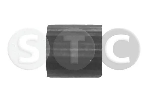 Charge Air Hose (T409061)