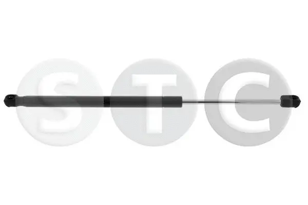 Gas Spring, boot/cargo area (T446771)