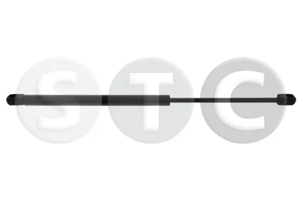Gas Spring, boot/cargo area (T446900)