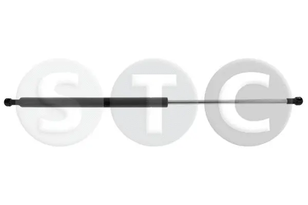 Gas Spring, bonnet (T446493)