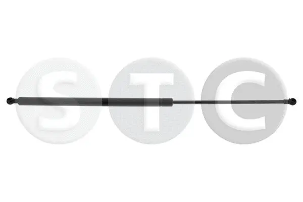 Gas Spring, boot/cargo area (T446717)