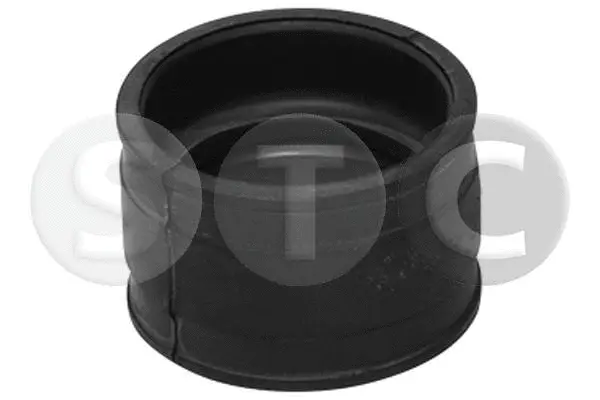 Charge Air Hose (T498717)