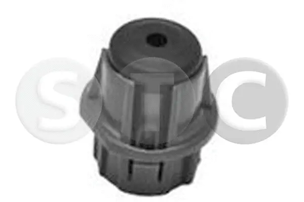 Clip, trim/protection strip (T442108)