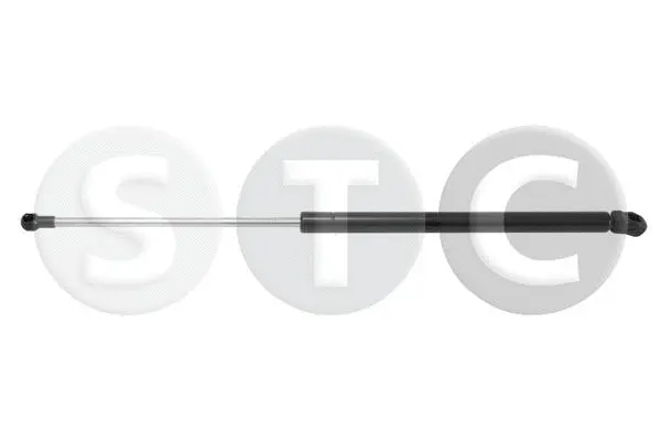 Gas Spring, boot/cargo area (T446406)