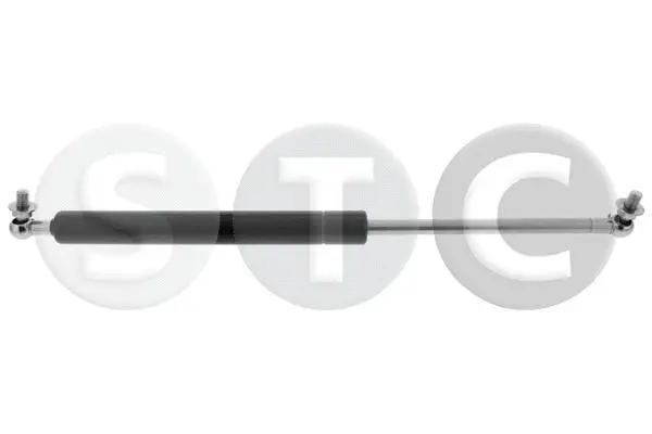 Gas Spring, boot/cargo area (T446816)