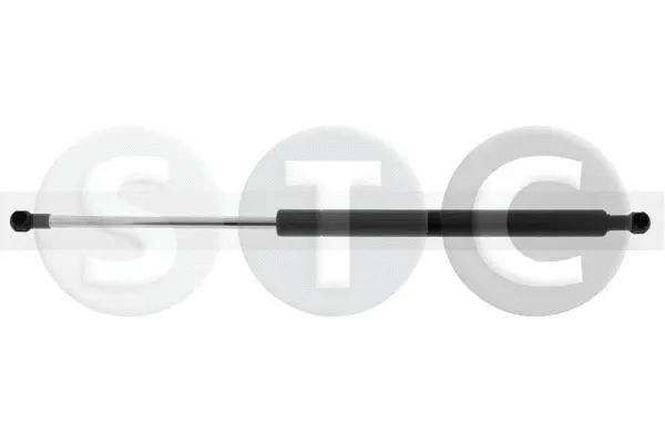 Gas Spring, boot/cargo area (T446308)