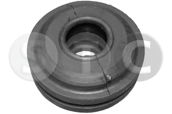 Bushing, selector/shift rod (T402862)