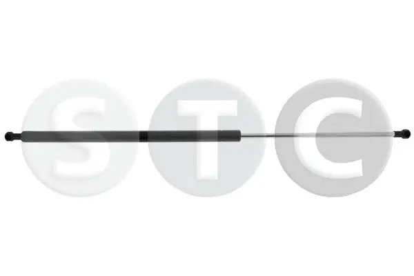 Gas Spring, boot/cargo area (T446197)