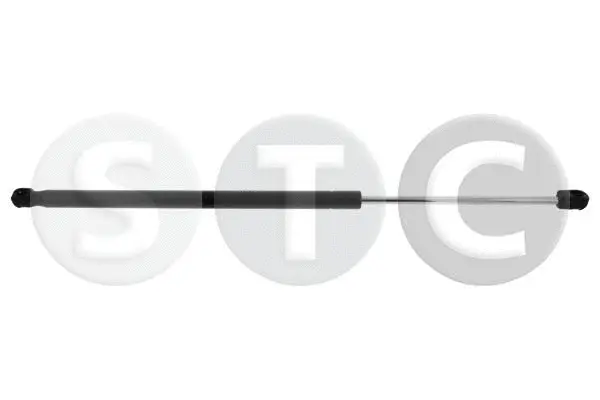 Gas Spring, boot/cargo area (T446872)