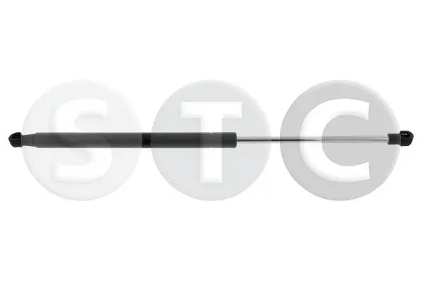 Gas Spring, boot/cargo area (T446392)