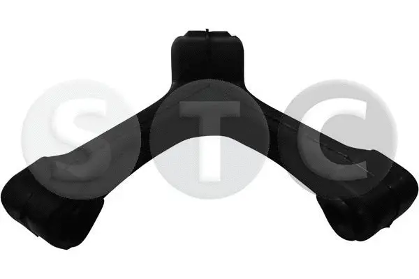 Mount, exhaust system (T441012)