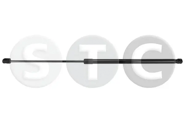 Gas Spring, boot/cargo area (T446188)