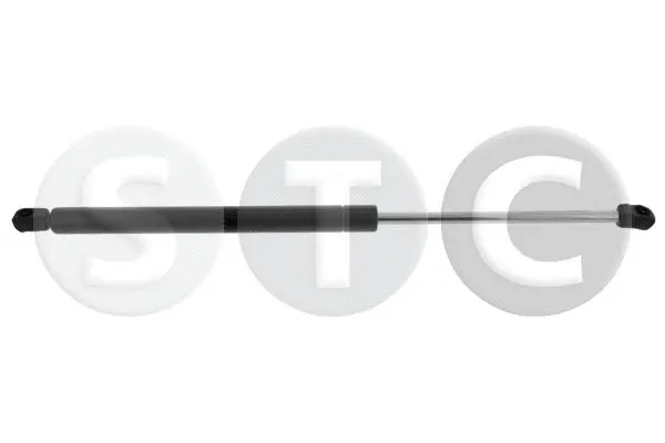 Gas Spring, boot/cargo area (T446411)
