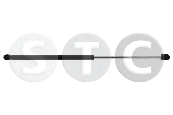 Gas Spring, bonnet (T446746)