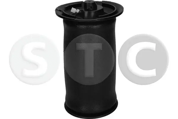 Air Spring, suspension