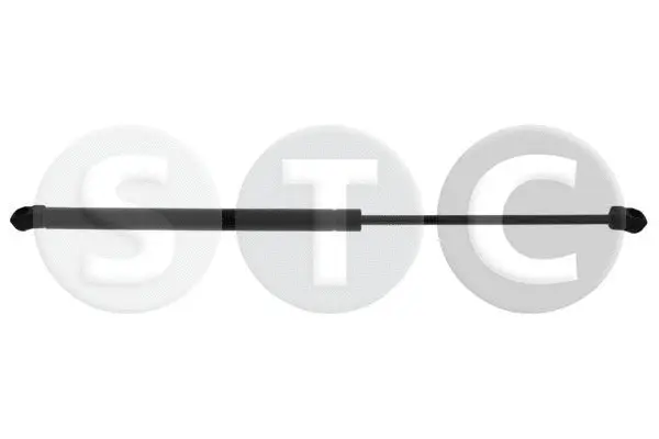 Gas Spring, boot/cargo area (T446388)