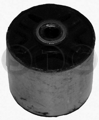 Bushing, axle beam (T404454)