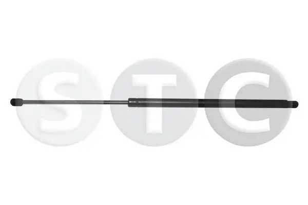 Gas Spring, boot/cargo area (T446802)