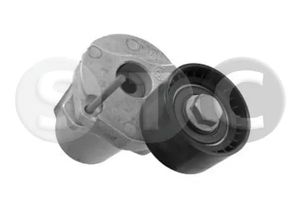 Tensioner Lever, V-ribbed belt (T448193)