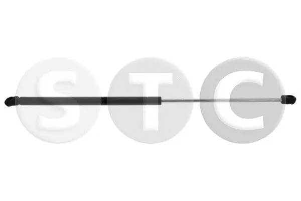 Gas Spring, bonnet (T446557)
