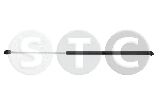 Gas Spring, boot/cargo area (T446279)
