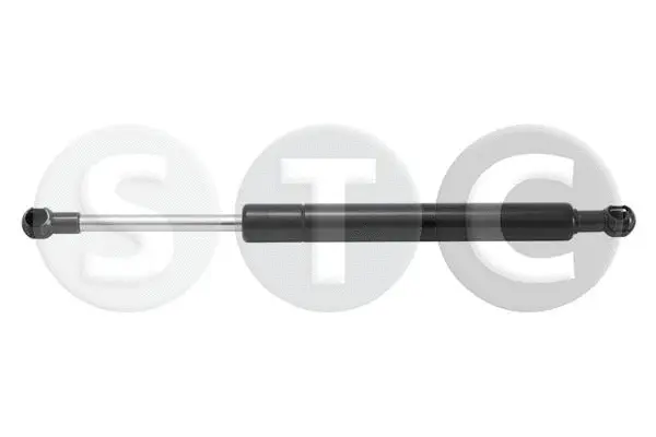 Gas Spring, boot/cargo area (T446408)