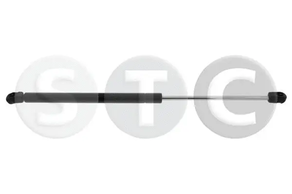Gas Spring, boot/cargo area (T446556)