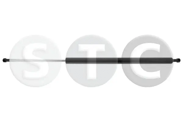 Gas Spring, boot/cargo area (T446885)