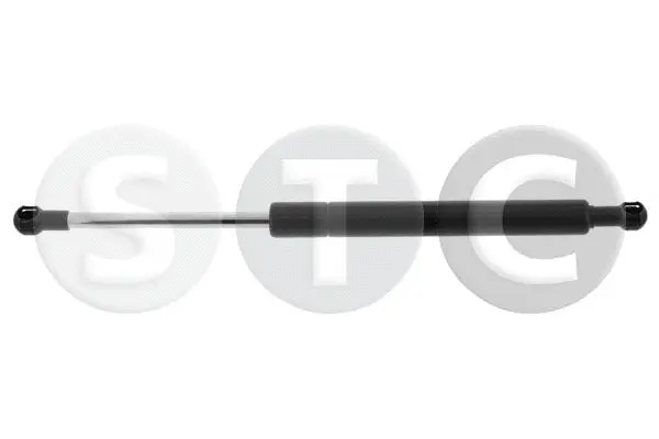 Gas Spring, boot/cargo area (T446694)