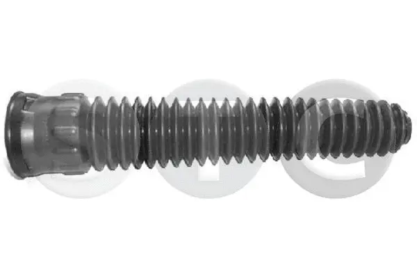 Protective Cap/Bellow, shock absorber (T404173)