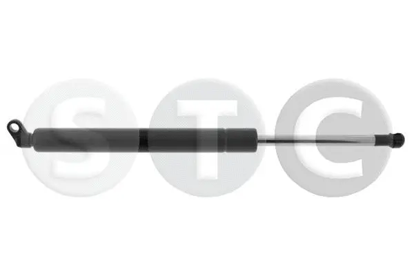 Gas Spring, boot/cargo area (T446737)