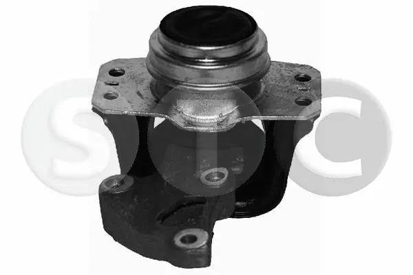 Mounting, engine (T404433)