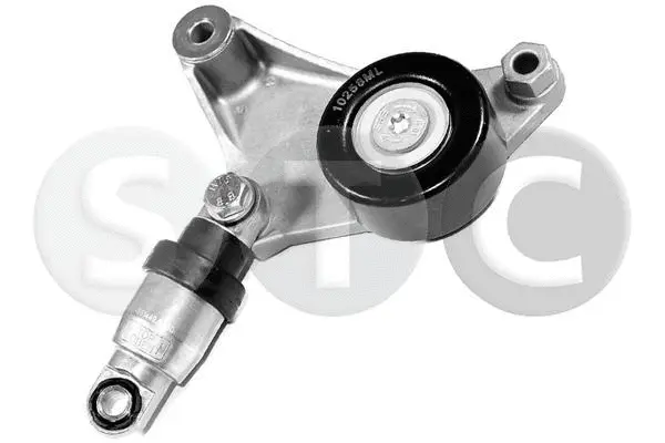 Repair Kit, v-ribbed belt tensioner (T448695)