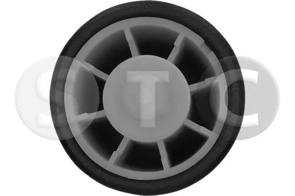 Air Spring, suspension