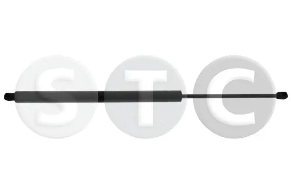Gas Spring, boot/cargo area (T446223)