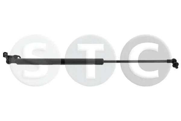 Gas Spring, boot/cargo area (T446497)