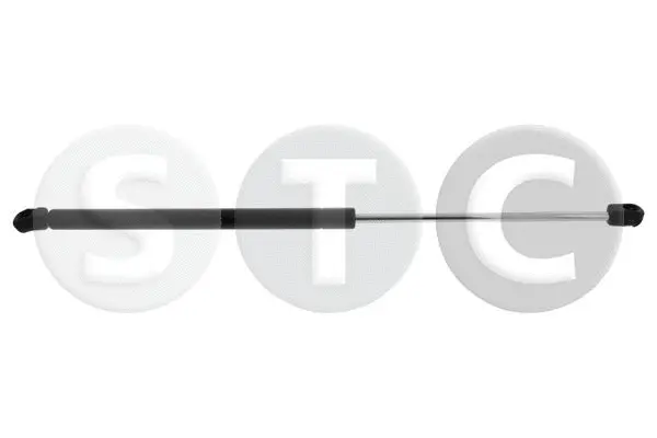 Gas Spring, boot/cargo area (T446488)