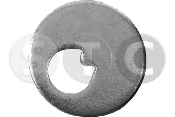 Caster Shim, axle beam (T439285)
