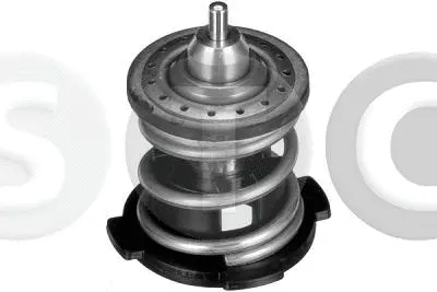 Thermostat, coolant (T431317)