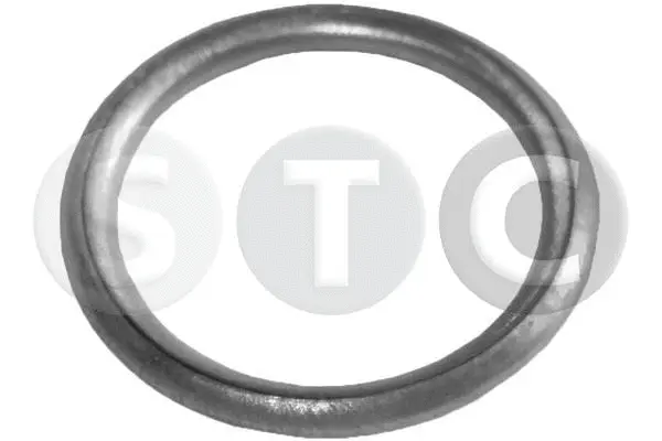 Seal Ring, oil drain plug (T402004)