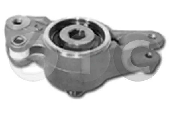 Tensioner Lever, V-ribbed belt (T448832)