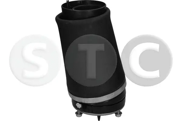 Air Spring, suspension