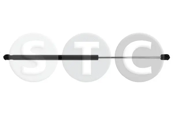 Gas Spring, boot/cargo area (T446633)